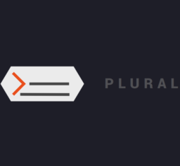 plural.software - Hosting & Domain